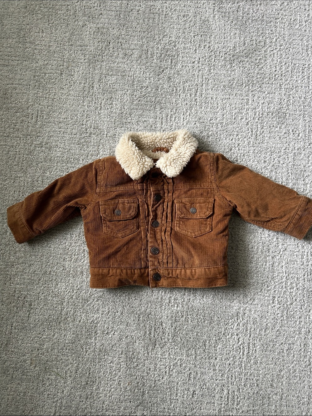 Baby Sherpa Collar Corduroy Jacket in Brown